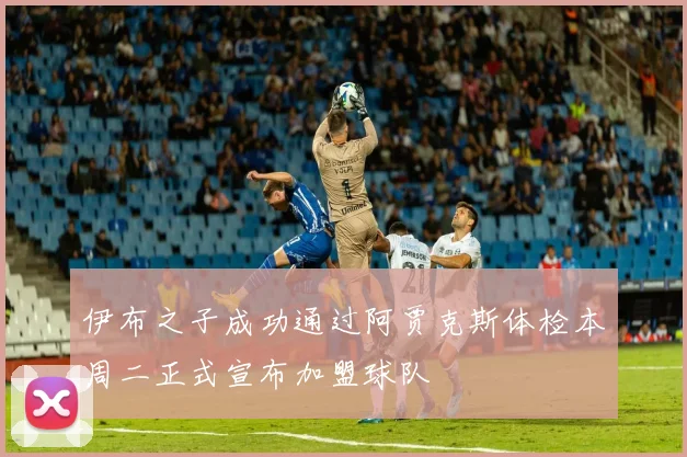 伊布之子成功通过阿贾克斯体检本周二正式宣布加盟球队