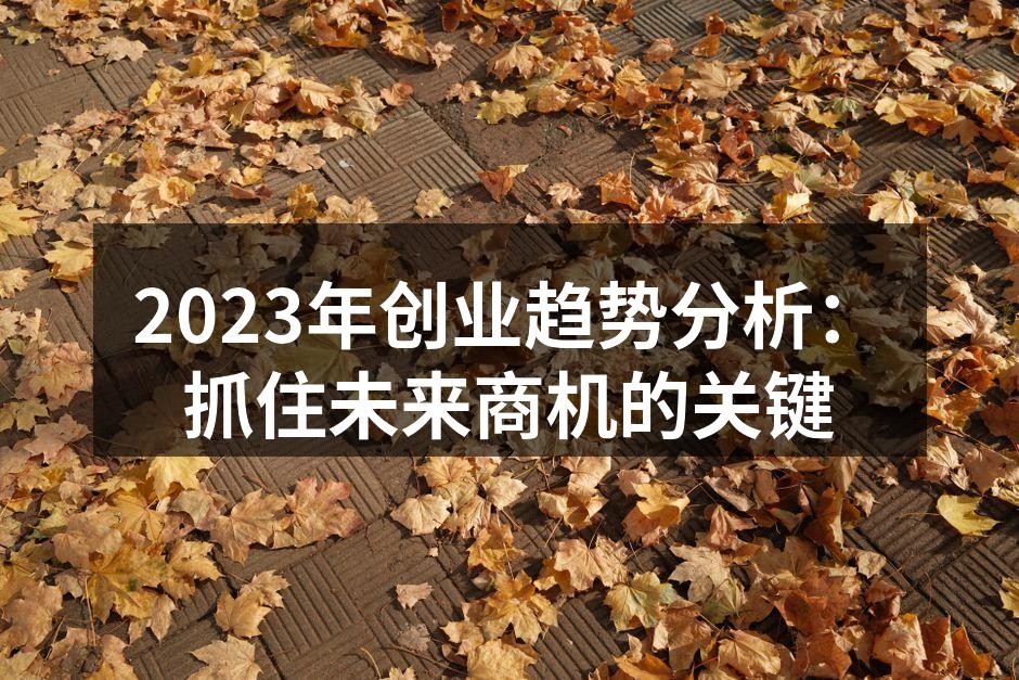 2023年创业趋势分析：抓住未来商机的关